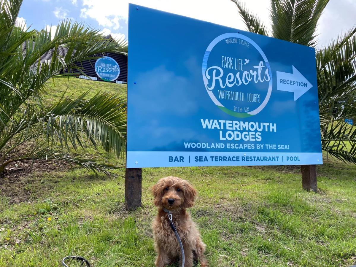 Watermouth Lodges Ілфракомб Екстер'єр фото